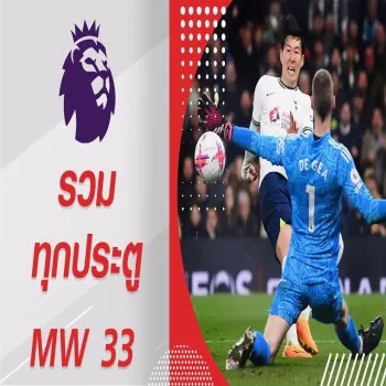 ???????????????????????????????????????????????????33 ?????????????????????????????dooliveball.com